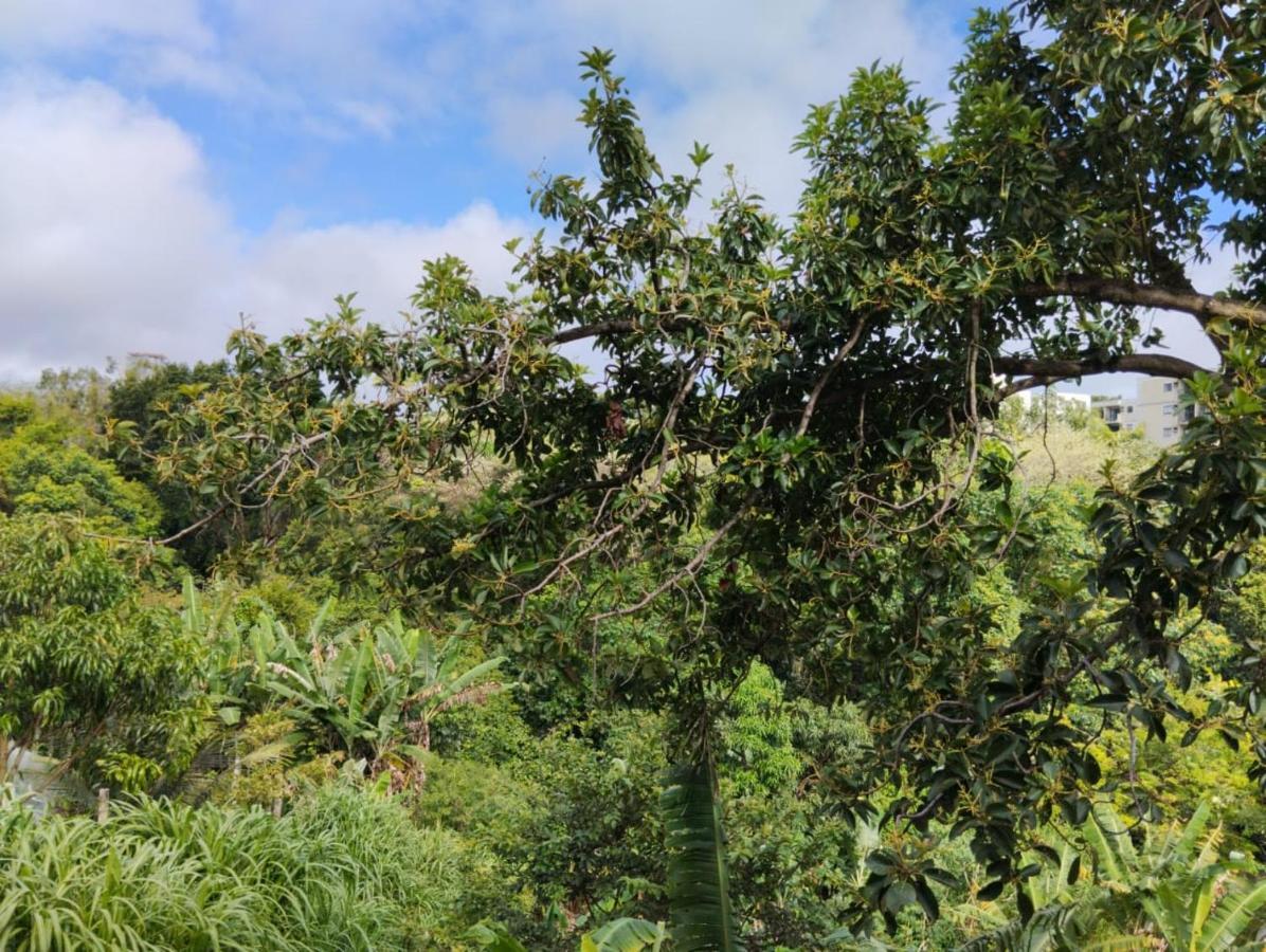 Apartamento Cercado Por Natureza E Diversao Масейо Экстерьер фото
